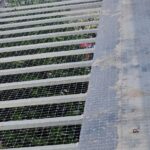 WhatsApp Image 2025-09-26 at 11.17.30_aa2a2f95