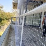 WhatsApp Image 2025-09-26 at 11.17.32_0f4a568c